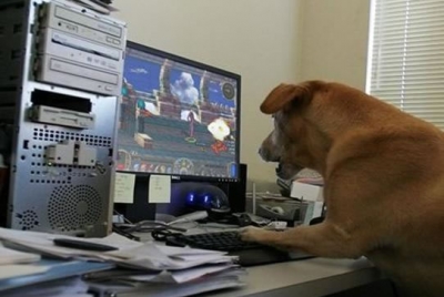 DNF怀旧服即将上线：800W阿拉德勇士等四年，预约破百万，还原DNF60版本 ...