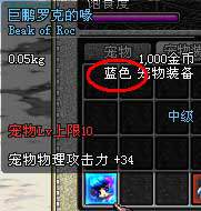 pet05_2.jpg