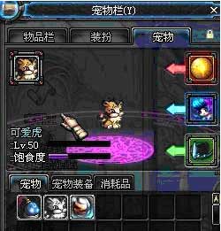 pet05_5.jpg
