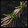 icon3.png