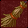 icon4.png