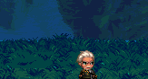 pic2.gif