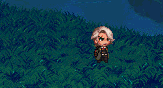 pic1.gif