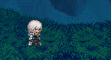 pic4.gif