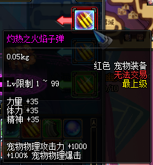 灼热之火焰子弹