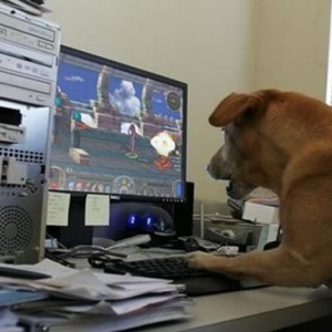 DNF怀旧服即将上线：800W阿拉德勇士等四年，预约破百万，还原DNF60版本 ...